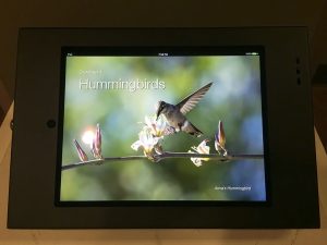 An image of Chapter 1 of Hover: Hummingbirds in the United States installed on an iPad at the Tempe Public Library