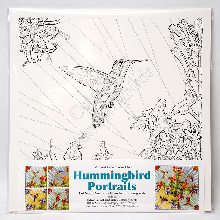 Hummingbird Portraits Coloring Folio - front with watermark