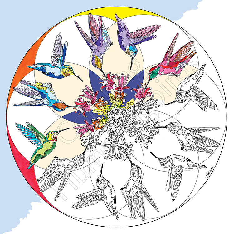 Hummingbird Mandala DEMO by T.A. Strich